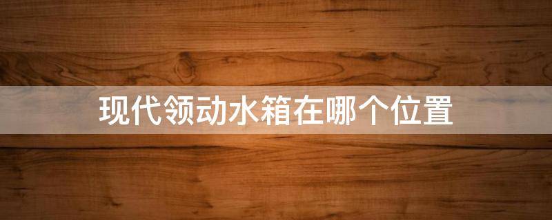 现代领动水箱在哪个位置（领动汽车水箱在什么位置）