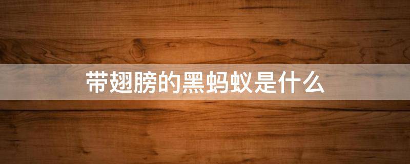 带翅膀的黑蚂蚁是什么（带翅膀的黑蚂蚁是什么咬人）