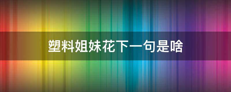 塑料姐妹花下一句是啥（塑料花姐妹什么意思?）