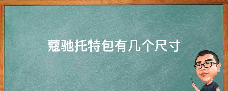 蔻驰托特包有几个尺寸 蔻驰托特包