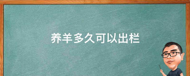 养羊多久可以出栏（一只羊养多久可以出栏）