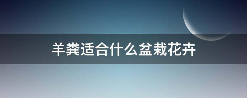 羊粪适合什么盆栽花卉 羊粪适合什么植物