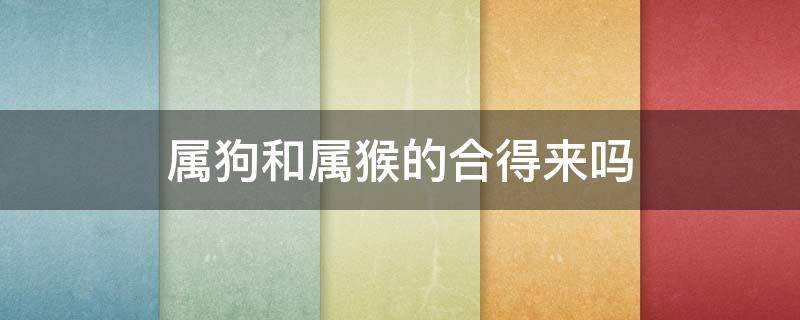属狗和属猴的合得来吗（属狗和属猴的相合吗）