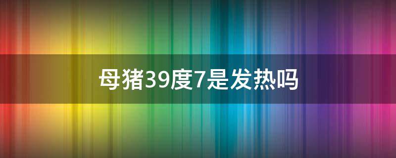 母猪39度7是发热吗（母猪39.9度是发烧吗）