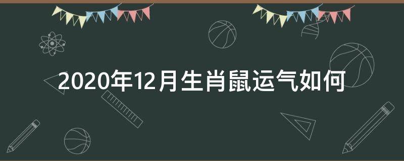 2020年12月生肖鼠运气如何 属老鼠2020年12月份运气
