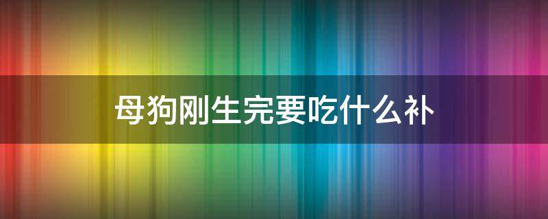 母狗刚生完要吃什么补（母狗生完补什么营养）