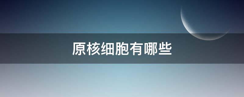 原核细胞有哪些 原核细胞有哪些口诀