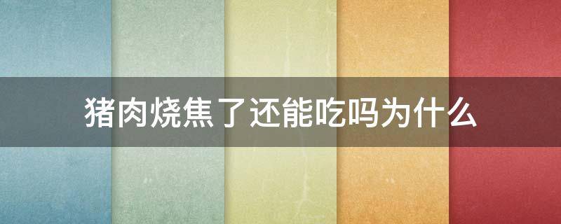 猪肉烧焦了还能吃吗为什么（为什么烧焦的肉不能吃）