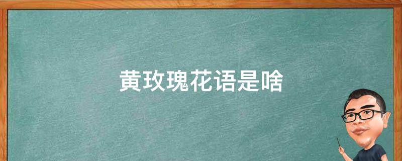 黄玫瑰花语是啥 黄玫瑰花语是什么?