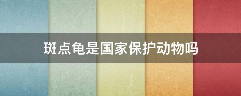 斑点龟是国家保护动物吗（斑点龟是哪个国家的龟）