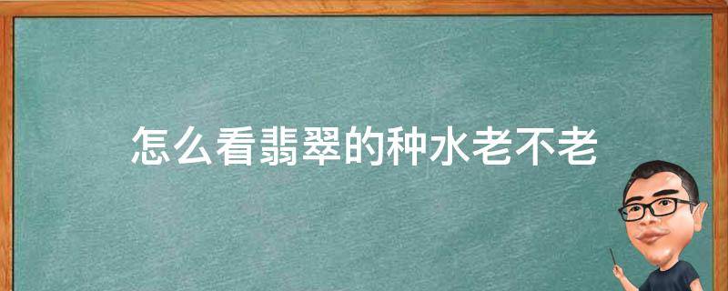 怎么看翡翠的种水老不老（怎么看翡翠手镯种水老不老）