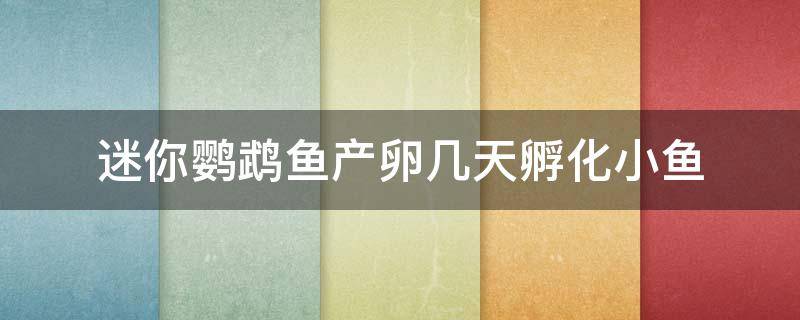 迷你鹦鹉鱼产卵几天孵化小鱼（迷你鹦鹉鱼产卵几天孵化小鱼几天分缸）