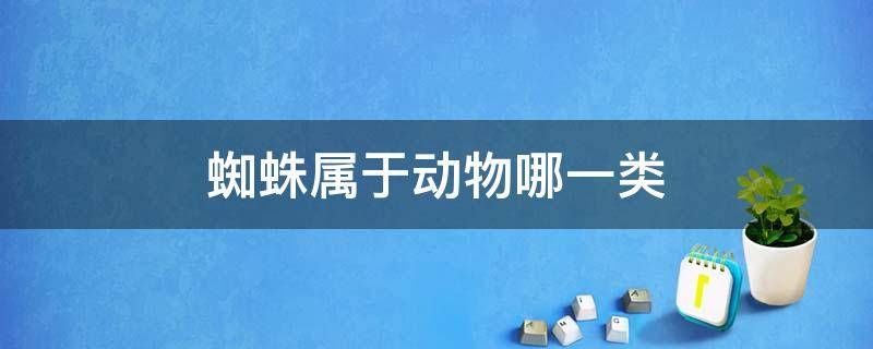 蜘蛛属于动物哪一类 请问蜘蛛是什么动物?属于哪一类