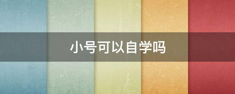 小号可以自学吗（小号可以自学吗?自学小号的方法）