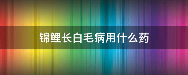 锦鲤长白毛病用什么药（锦鲤白皮病用什么药）