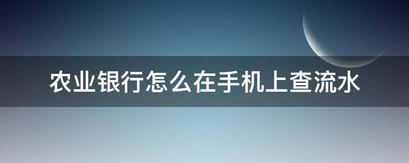 农业银行怎么在手机上查流水（农业银行怎么在手机上查流水账）