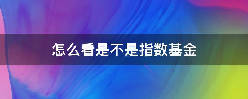 怎么看是不是指数基金（怎么看哪个基金是指数基金）