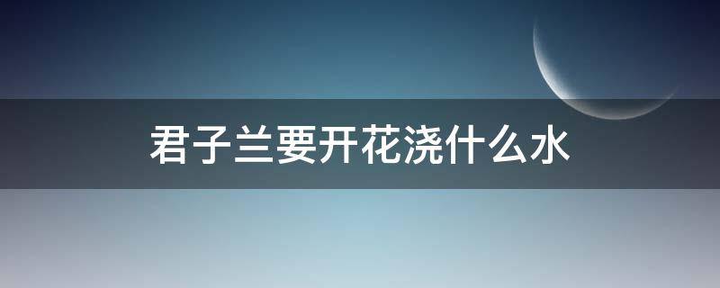 君子兰要开花浇什么水 君子兰要开花时怎么浇水