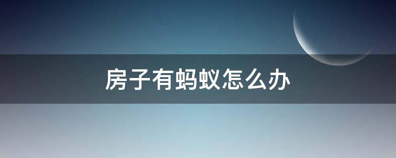 房子有蚂蚁怎么办（住房有蚂蚁怎么办）
