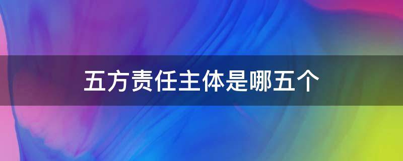 五方责任主体是哪五个 五方责任主体是哪五方