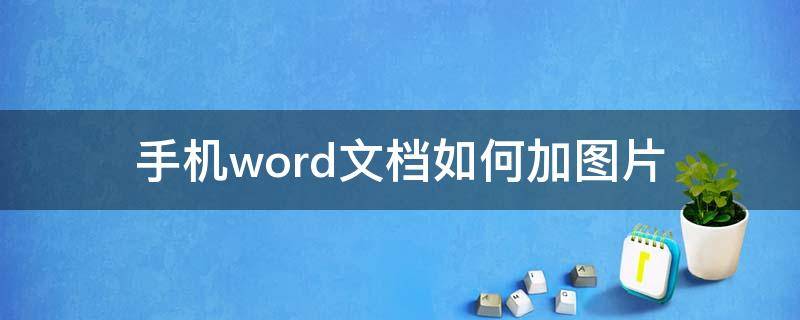手机word文档如何加图片（手机word文档怎么加图片上去）