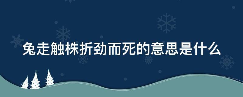 兔走触株折劲而死的意思是什么 兔走触株折颈而死的意思是啥