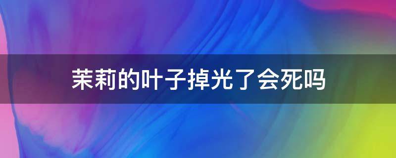 茉莉的叶子掉光了会死吗 茉莉掉光叶子能活吗