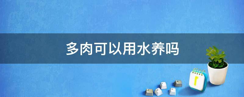多肉可以用水养吗 多肉能直接用水养吗
