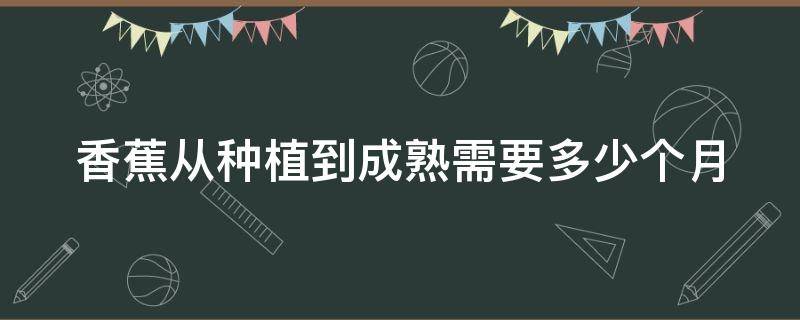 香蕉从种植到成熟需要多少个月 香蕉从种植到成熟需要多少个月时间