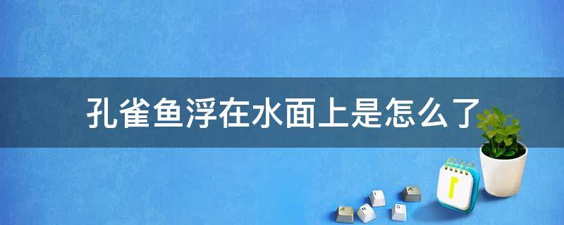 孔雀鱼浮在水面上是怎么了（孔雀鱼浮在水面是不是要死了）