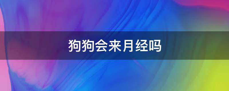 狗狗会来月经吗 狗狗会来月经吗?