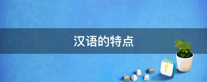 汉语的特点 汉语的特点有屈折语