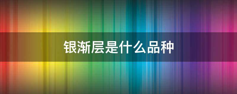 银渐层是什么品种（银渐层是什么品种配出来的）