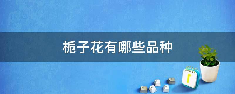 栀子花有哪些品种 栀子花有哪些品种,哪些能吃