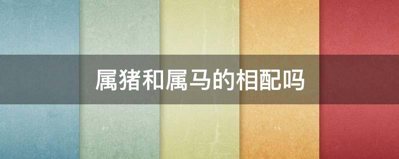 属猪和属马的相配吗（生肖属猪和属马的相配吗）