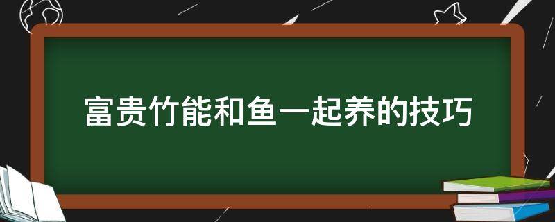 富贵竹能和鱼一起养的技巧 富贵竹能与鱼一起水养吗