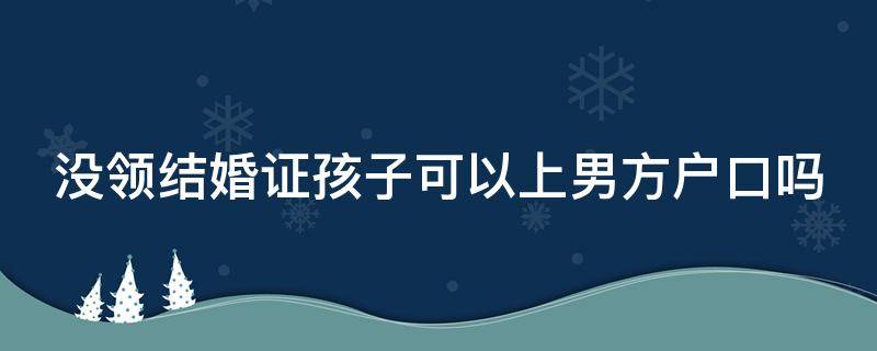 没领结婚证孩子可以上男方户口吗（亲子鉴定上户口麻烦吗）