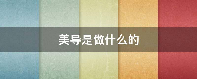 美导是做什么的 美导是做什么的?