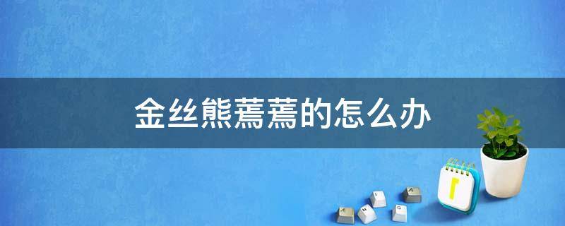 金丝熊蔫蔫的怎么办 金丝熊蔫了是怎么回事