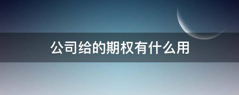 公司给的期权有什么用 公司给期权是什么
