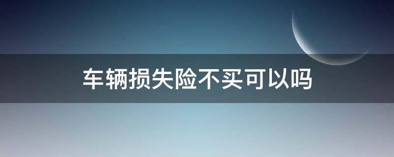 车辆损失险不买可以吗（车辆损失险用不用买）
