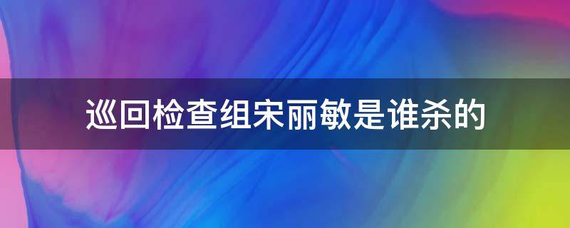 巡回检查组宋丽敏是谁杀的 巡回检查组的宋丽敏是谁杀的