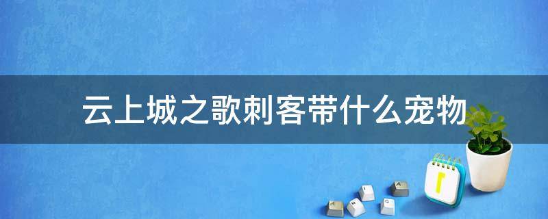 云上城之歌刺客带什么宠物（云上城之歌影刺带什么宠物）