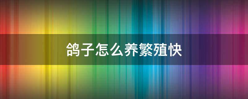鸽子怎么养繁殖快（鸽子怎样养繁殖快）