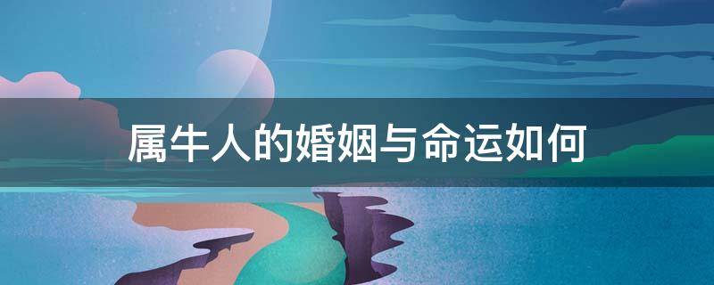 属牛人的婚姻与命运如何（属牛人一生婚姻如何）