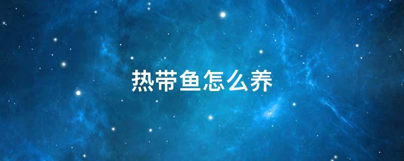 热带鱼怎么养 热带鱼怎么养才能活得长久
