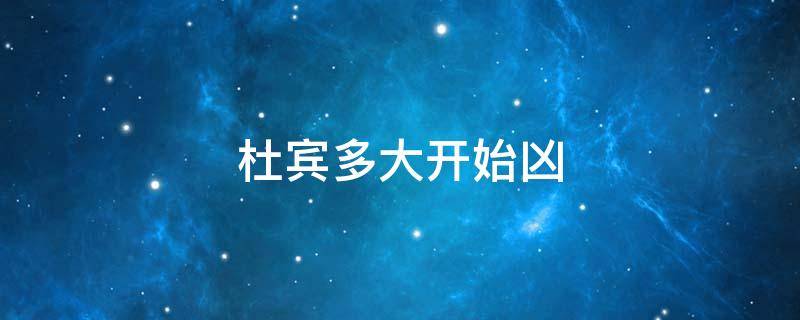杜宾多大开始凶（杜宾多大开始凶不会怕其他狗）