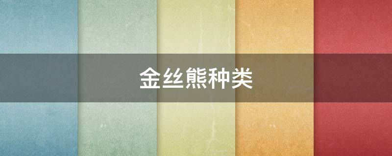 金丝熊种类（金丝熊种类图片）