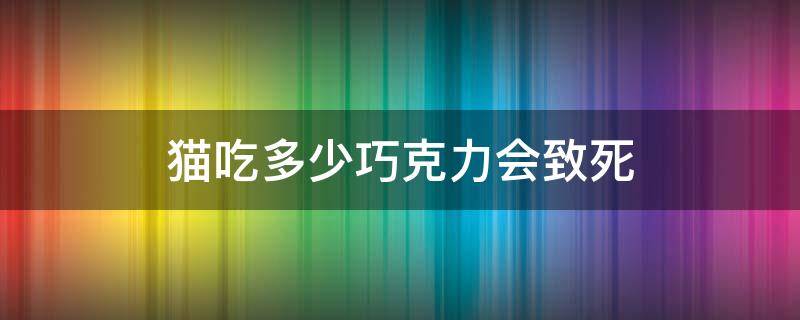 猫吃多少巧克力会致死（猫吃巧克力会死么）