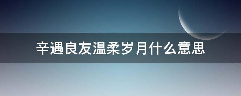 辛遇良友温柔岁月什么意思 幸遇良友 温柔岁月的意思